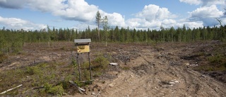 Biotopskyddad skog avverkad?