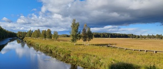 Läsarbilden: Stilla flyter ån 