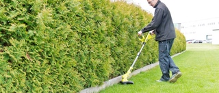 Klen klippkraft med batteridriven trimmer