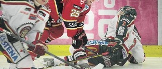 Frölunda på jakt efter Lubos Bartecko