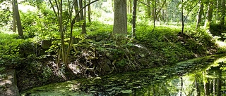 Torrlagd strömfåra kan få flöde igen