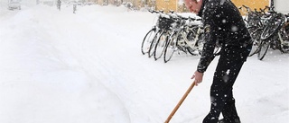 Är det verkligen cykelstaden?