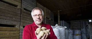 Het potatis gav kalla fötter