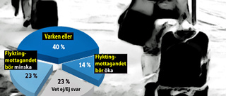 Delade meningar om flyktingmottagandet