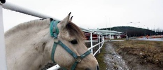 Färre anställda när ridklubb sparar