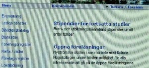 Söderköping vill bli e-kommun