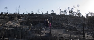 Tysk-franskt stöd efter grekisk lägerbrand