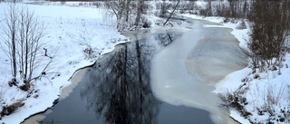 Läsarbilden                   