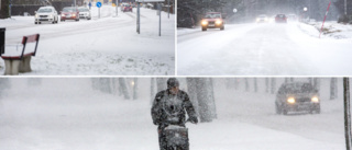 Snöandet väntas fortsätta – "Kan lysa upp tillvaron"