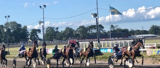 Spelexpertens bästa drag inför Visby travfest: "Chansspikar"