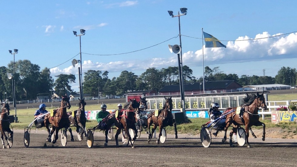 Travexperten Roger de Flon ger sina bästa tips inför V86 under Visby travfest.