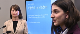 Statens vindkraftsutredning bidde en tummetott