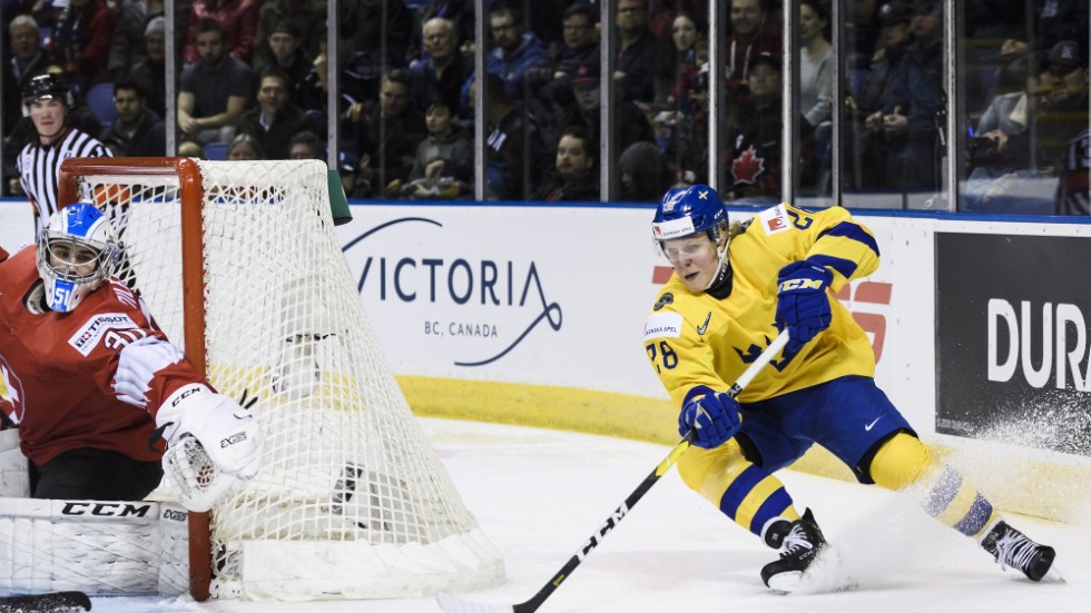 Fabian Zetterlund ansluter till Tre Kronor. Arkivbild.
