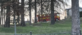 Gräs i parken fattade eld      