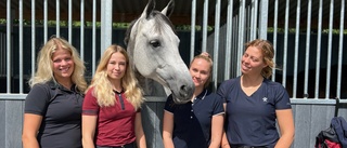 Medaljlöst för Piteå i Falsterbo: "Revanschsugna"