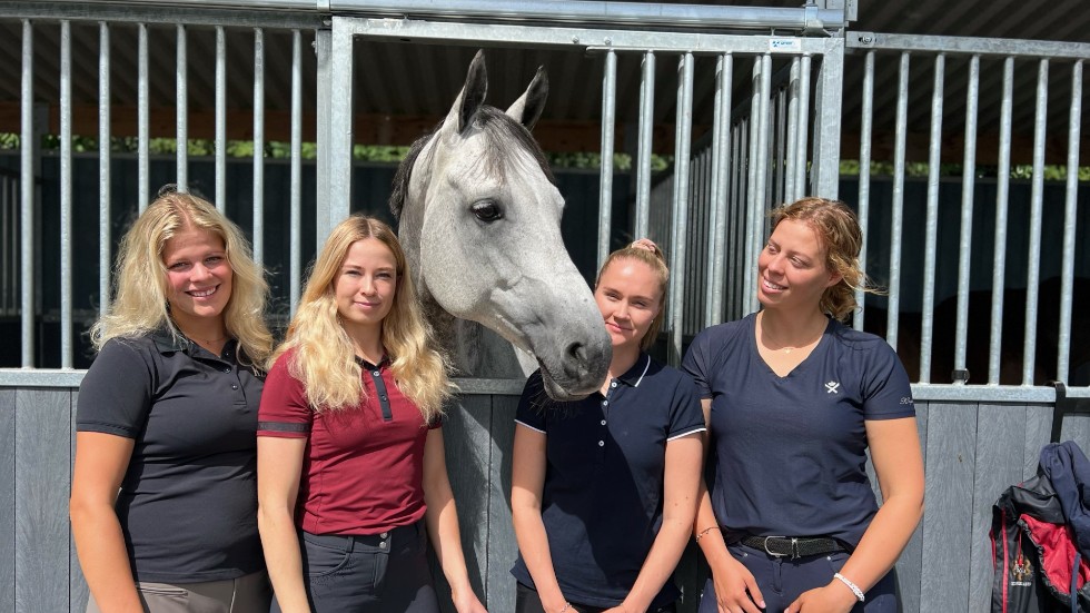 Piteå Ridklubbs hopplag. Från vänster: Clara Marklund, Nina Backman, hästen Cornada, Ellen Lunneborg och Wilma Marklund.