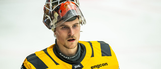 Kan få göra debut i hockeyallsvenskan – efter gratischansen