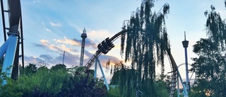 Deras samarbeten tar barnen till Liseberg