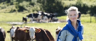 Naturbetesmark gynnar biologisk mångfald i Norrbotten