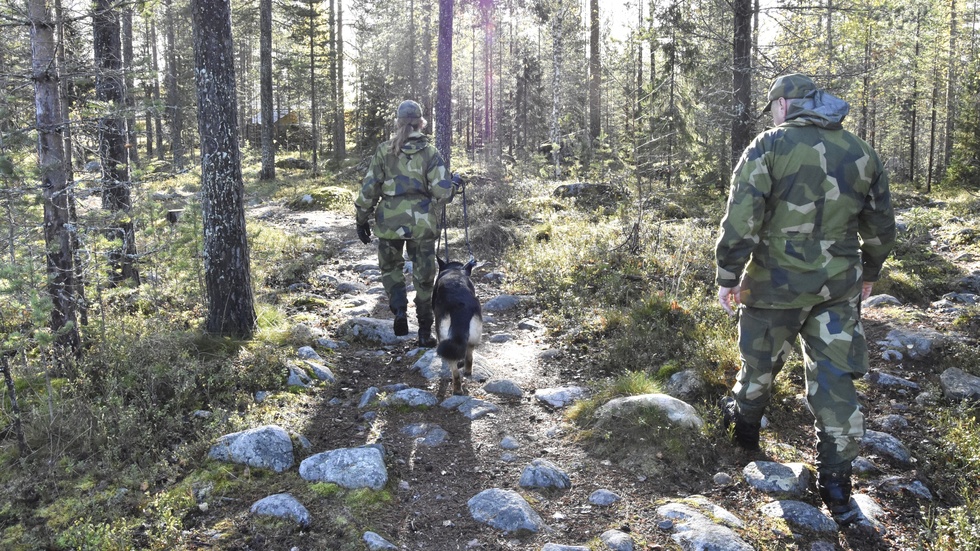 Hemvärnet deltar i sökinsatsen med bland annat hundförare.
