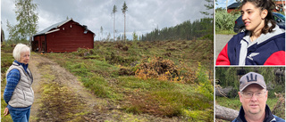 Stormens härjningar etsade sig fast