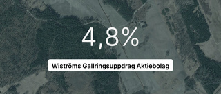 Wiströms Gallringsuppdrag Aktiebolag: Nu är redovisningen klar - så ser siffrorna ut