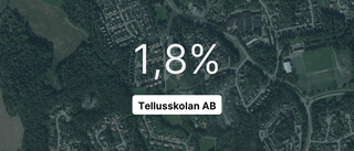 Årsredovisningen klar: Så gick det för Tellusskolan AB