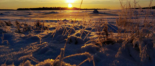 Läsarbild: solnedgång i Haparanda