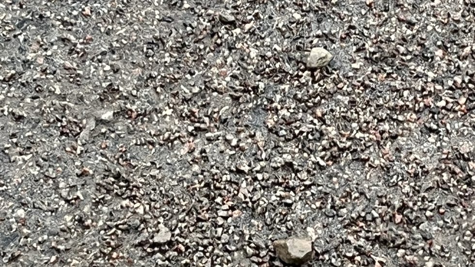 Mängder av stora stenbumlingar som inte hör hemma på gatan.