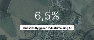 Så gick det för Hanssons Bygg och Industrimålning AB 2022