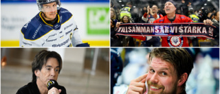 MATCHGUIDEN: LHC-HV 71: "Få lag som väcker så mycket känslor"