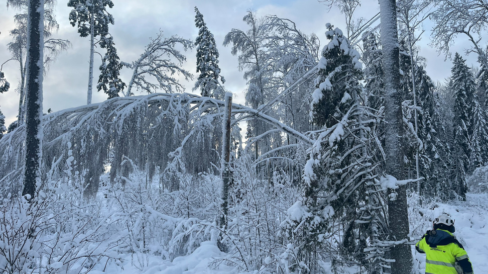 Under julaftons morgon jobbade Eon vidare med att försöka få ordning på elnätet i länet. Förhoppningen är att alla ska ha ström till Kalle Anka.