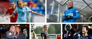 Lista: Fem heta värvningar i allsvenskan – och fem tunga tapp