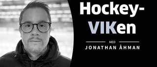 Hockeyviken