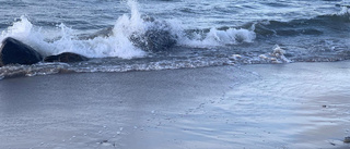 Nyårskrönika om stranden och löften