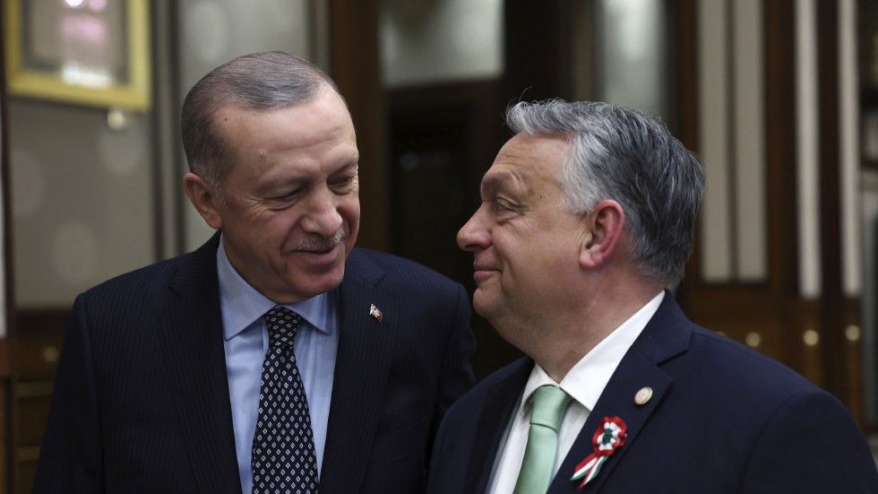 Turkiets president Recep Tayyip Erdogan, till vänster, och Ungerns premiärminister Viktor Orbán vid ett möte i Ankara i mars.