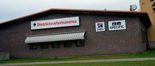 Distriktsveterinär larmar om olaglig kattjakt