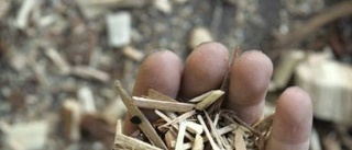 Efterfrågan på biobränsle ökar