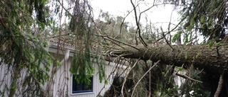 Försäkringsbolag nedringt av stormdrabbade