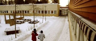 Bergsvikselever gick och cyklade mest