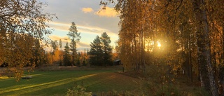 Läsarbilden: Morgonens första solstrålar