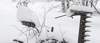 Massor av snö denna vinter        