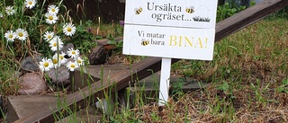 Läsarbilden: Mums för bina    