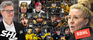 Två stjärnsvenskar klara för AIK:s stora SHL-konkurrenter