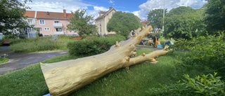 Därför ligger det en guldmålad trädstam i parken