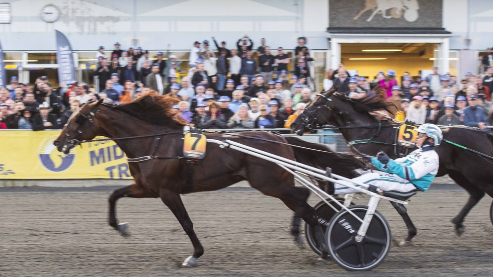 Francesco Zet med Örjan Kihlström i sulkyn gick på knock efter knappa 1 000 meter i Norrbottens Stora Pris. Sedan var segern säkrad.