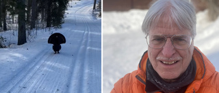 Turf war on ski trail: angry capercaillie takes a stand