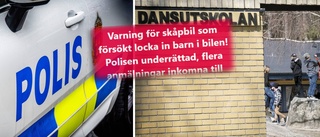 Skåpbilsförare försökte locka barn – stort polispådrag