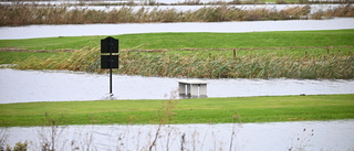 Skåne i farozonen när havet stiger