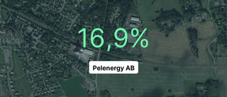 Pelenergy AB senaste året: Så gick det för företaget